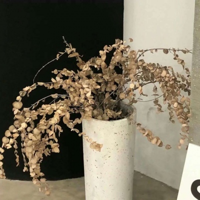 Furry兽设设计技巧Furry群